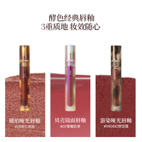 酵色（Joocyee）琥珀贝壳游染镜面水光哑光雾面唇釉口红 漂浮月球  任选2