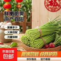 京东 生鲜蔬菜农家蒜薹超市品质蒜苔健康好吃超低价产地直发 河北净重1.8斤（经济装）