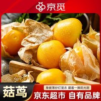 京觅 东北姑娘果 净重0.5斤装 灯笼果黄菇娘洋菇茑 新鲜水果 源头直发