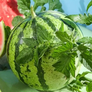 美都 正宗麒麟西瓜 6-8斤 脆甜多汁有籽