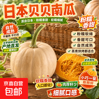 日本贝贝南瓜当季新鲜现摘 1斤