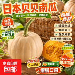 日本贝贝南瓜当季新鲜现摘 1斤