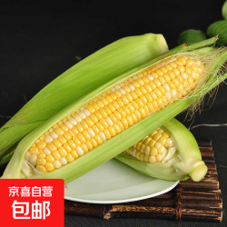 京东 云南金银双色水果玉米 可生食可煮 可榨汁 新鲜水果蔬菜 净重5斤 单果约280克