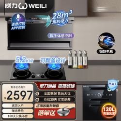 威力 抽吸排油烟机家用大吸力一级能效变频28风量上门安装顶侧双吸油烟机燃气灶烟灶套装 3件套-