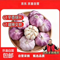 京喜 山东金乡紫皮大蒜 4.5厘米 5头