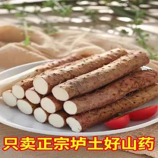 黄六爷 垆土铁棍山药 小白嘴 净重3斤 根茎类蔬菜