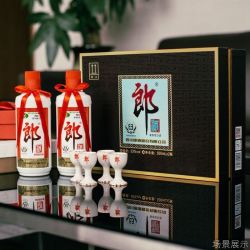 郎酒53度500ml*2瓶礼盒装