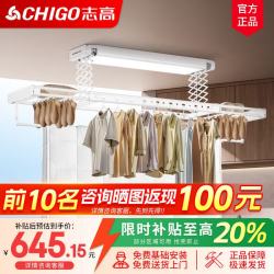 志高 超薄隐形电动晾衣架双排遥控升降阳台嵌入式用自动晾衣杆机48瓦全屏照明+语音+双排