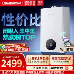 长虹 一级能效全预混燃气壁挂炉天然气供暖采暖恒温壁挂锅炉 C2A（≤200平，一厨两卫）