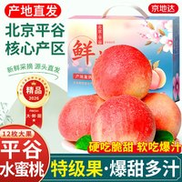 京地达 平谷大桃 水蜜桃 4.8斤 200g/个 礼盒装