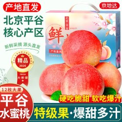 京地达 平谷大桃 水蜜桃 4.8斤 200g/个 礼盒装