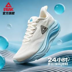 匹克 态极二次呼吸3.0 超轻减震 海盐气泡 42 男款跑鞋