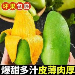 玉芒青芒酸芒果新鲜水果应季热带新鲜芒果青皮甜心芒产地直发