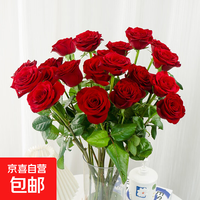 京喜自营-专用品牌 云南鲜花 玫瑰百合向日葵花束 10枝 红玫瑰 40-45cm