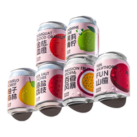 Zebra Craft/斑马精酿 水果风味 果味精酿啤酒 6种口味组合 250mL 6罐 听装