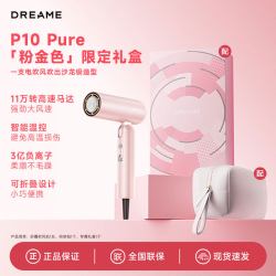 追觅 Pocket便携折叠迷你高速吹风机 P10