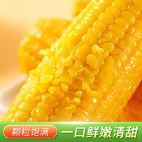 一支鲜 东北黄糯甜糯玉米250g*10棒