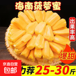 海南 黄肉菠萝蜜 35-40斤 整果
