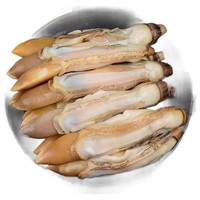 蛏王肉 5斤