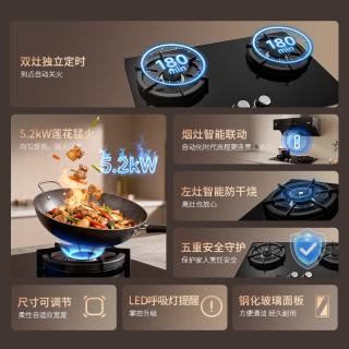 林内 JZT-2ERLS2L 5.2kW大火力防干烧天然气嵌入式燃气灶