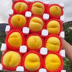 尹福记 特大果 山东 蒙阴黄金蜜桃 大黄桃 2.5斤装 4-7个