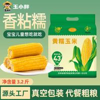 玉小胖 吉林四平 黄糯玉米 8根1.8kg