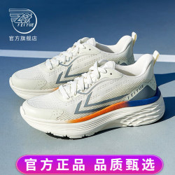 飞跃 Feiyue 飞跃 男款跑步鞋