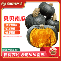 秦品堂 陕西贝贝南瓜 5斤 带箱