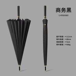 三栖虎 德国品质创意24骨雨伞自动长柄伞
