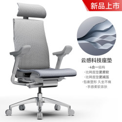 Ergonor 智能 人体工学椅 联动扶手  银白美国网(云感科技座垫) 转椅