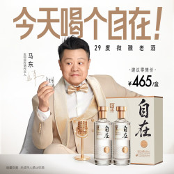 舍得 自在 29度 浓香型白酒 368ml*2瓶 礼盒装