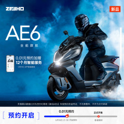 ZEEHO AE6 Pro 电动车 ZH9000DT 72V32Ah 铅酸