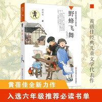 黄蓓佳 野蜂飞舞 一升二暑假衔接