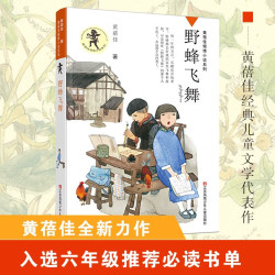 黄蓓佳 野蜂飞舞 一升二暑假衔接