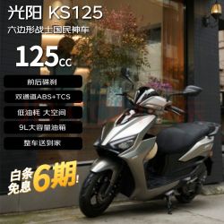 光阳蛋业 光阳2025款KS125卓越版踏板 &燃油摩托车通勤 &abs外卖 &骑手代步大空间银棕