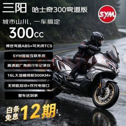SYM 哈士奇300 26款踏板摩托车 太空灰