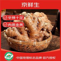 京鲜生 云南小黄姜 净重5斤 生姜 老姜 单果50g+ 源头直发 5斤