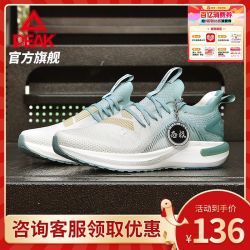 匹克 态极5.0 厚底弹力减震 跑步鞋
