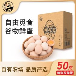我老家 新鲜鸡蛋 单枚约50g 个头饱满 蛋香浓郁营养适中居家常备