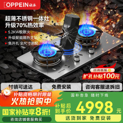 WZGL OPPEIN）燃气灶不锈钢煤气灶70%热效率天然气大面板液化气猛火灶磨砂面板双灶嵌入式台式两用