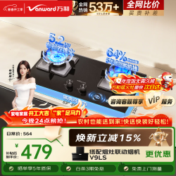 万和 5.2kW天然气猛火64%热效率嵌入式家用煤气双炉具台燃气灶