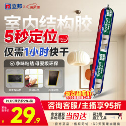 立邦 室内结构胶 590ml 密封强力高粘快干玻璃胶 500ml