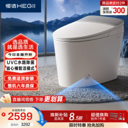恒洁 智能马桶G21座圈加热静音冲水脚感冲水泡沫盾DCE733B-305