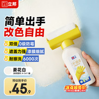 立邦 墙面修复补墙膏 500g 菱花白