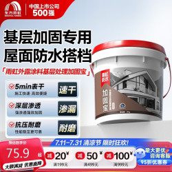 东方雨虹 雨虹防水外露防水涂料基层处理加固宝界面剂墙面加固剂5kg