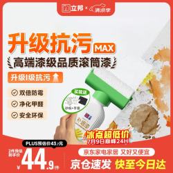 立邦 墙面修复补墙膏 500g 白色