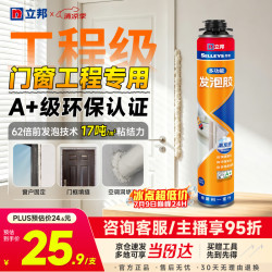 立邦 发泡胶密封胶填缝剂强力固化聚氨酯门窗空调填充降噪900g