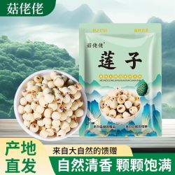菇佬佬 莲子干货 250g 磨皮去芯白莲