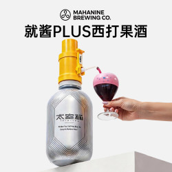 大九 酱plus西打果酒 太空桶生啤 3L