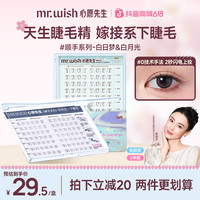 MR.WISH 倒扣镊白日梦心愿先生自然仿真单簇睫毛隐形